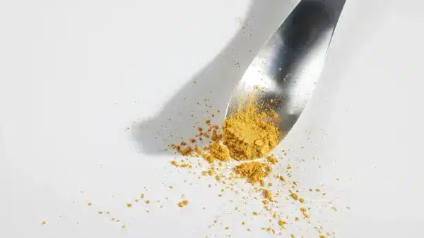 Ilmasta proteiinia tuottava Solar Foods sai Springvestin osakeanneista vauhtia listautumiseen ja maailmanvalloitukseen