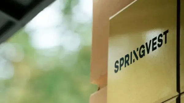 Springvest Oyj jakaa in natura -varojenjakona Solar Foods Oyj:n osakkeita – mitä tämä tarkoittaa Springvestin osakkaille?